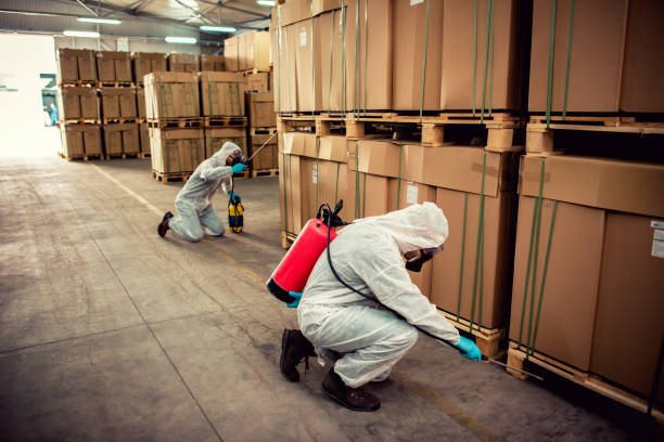 Best Emergency Pest Control  in Byron, CA