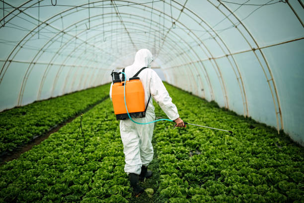 Best Pest Prevention Services  in Byron, CA