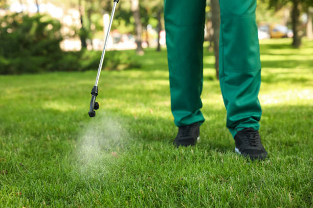 Best Exterminator Services  in Byron, CA