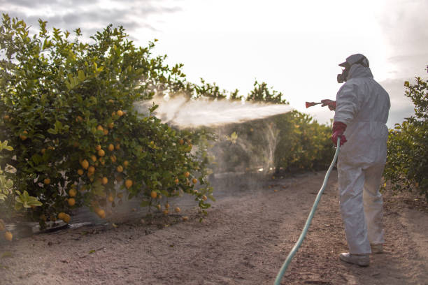 Best Local Pest Control Services  in Byron, CA
