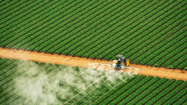 Best Pest Control for Businesses  in Byron, CA