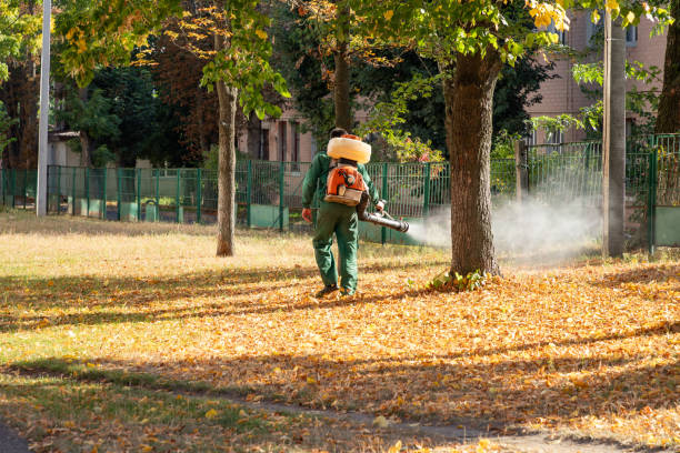 Professional Pest Control in Byron, CA