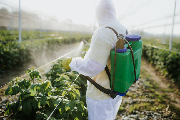 Best Wildlife Control Services  in Byron, CA